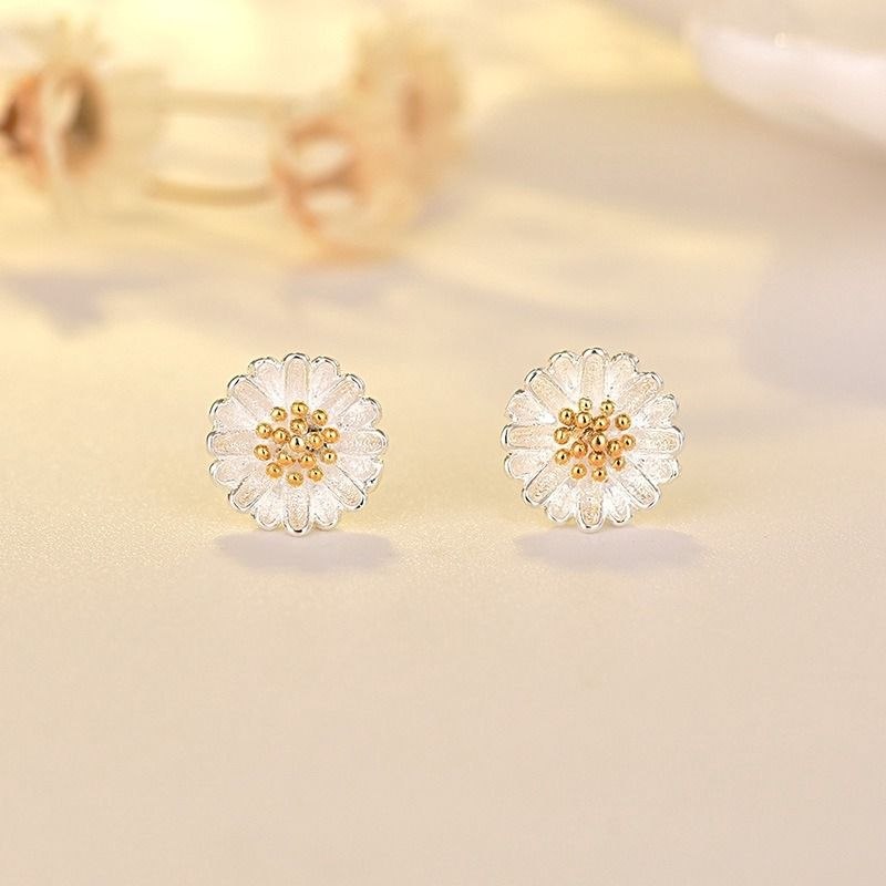 Jewelry Promo Earrings FSJP-8